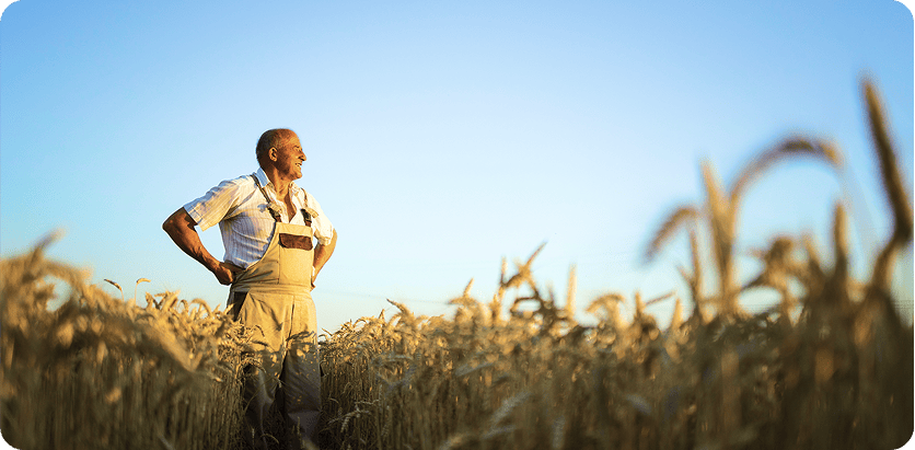 Quem somos | Grão Cheio